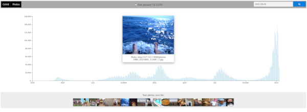 Figure 1: CovidVsYou screenshot